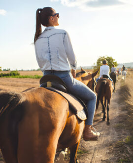 Horseback Riding